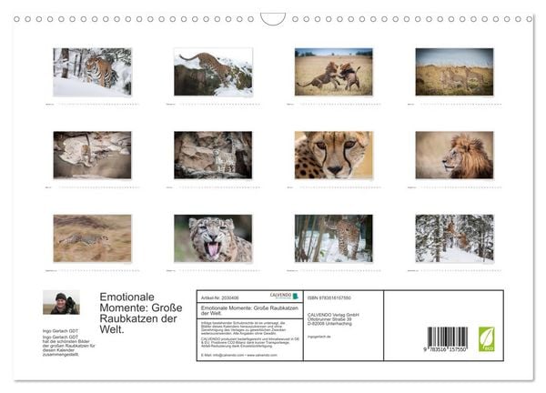 Produktbild: Emotionale Momente: Gro&szlig;e Raubkatzen der Welt. (Wandkalender 2026 DIN A3 quer), CALVENDO Monatskalender