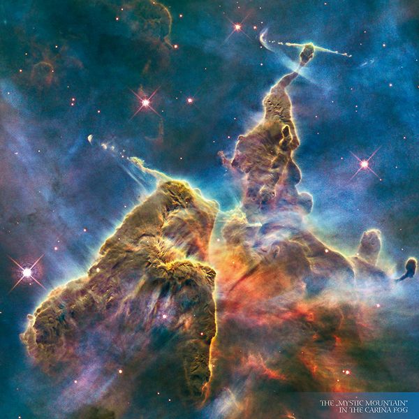 Produktbild: Where Stars are Born 2024
