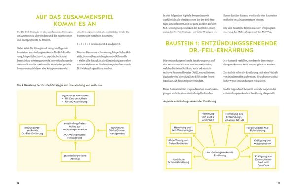 Produktbild: Arthrose endlich heilen