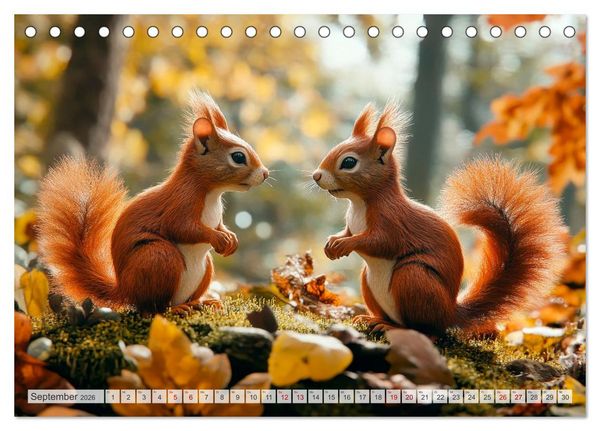Produktbild: EICHH&Ouml;RNCHEN Niedliche kleine Wesen (Tischkalender 2026 DIN A5 quer), CALVENDO Monatskalender