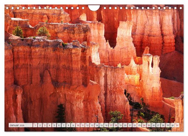Produktbild: Bryce Canyon, Wunder der Natur (Wandkalender 2026 DIN A4 quer), CALVENDO Monatskalender