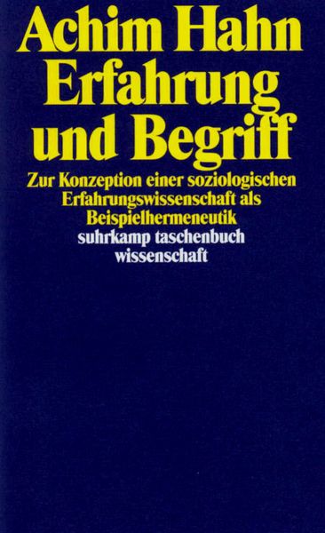 Produktbild: Erfahrung und Begriff