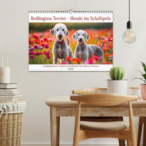 Produktbild: Bedlington Terrier - Hunde im Schafspelz (Wandkalender 2026 DIN A3 quer), CALVENDO Monatskalender