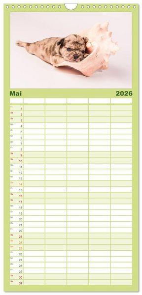 Produktbild: Familienplaner 2026 - M&ouml;pse mit 5 Spalten (Wandkalender, 21 x 45 cm) CALVENDO