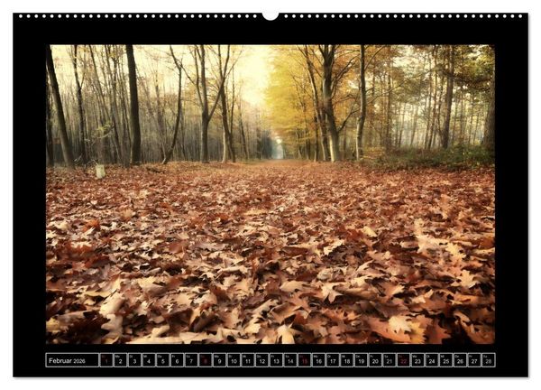 Produktbild: Der Reichswald bei Kleve (Wandkalender 2026 DIN A2 quer), CALVENDO Monatskalender