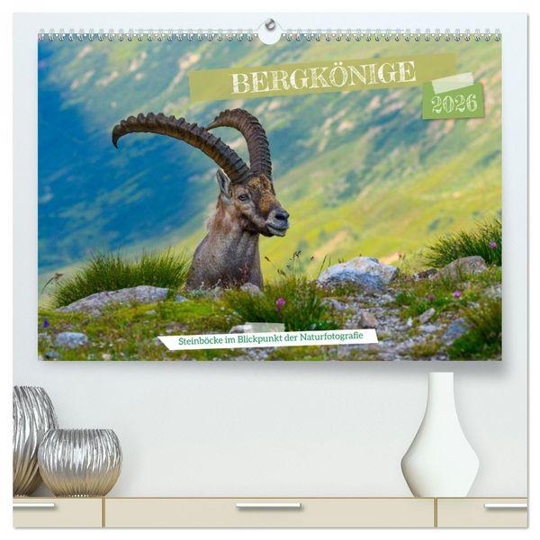 Produktbild: Bergk&ouml;nige - Steinb&ouml;cke im Blickpunkt der Naturforografie (hochwertiger Premium Wandkalender 2026 DIN A2 quer), Kunstdruck in Hochglanz