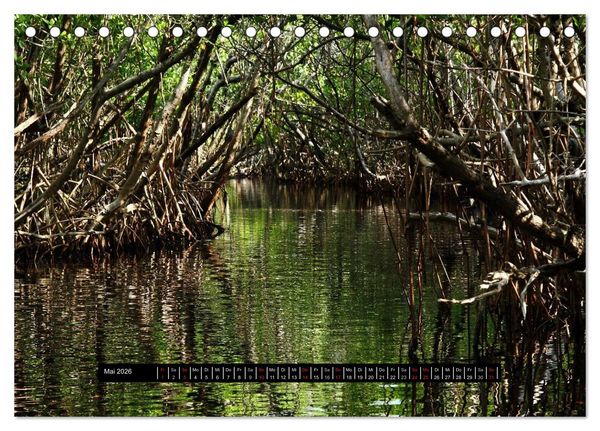 Produktbild: Florida Impressionen (Tischkalender 2026 DIN A5 quer), CALVENDO Monatskalender