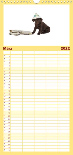 Produktbild: Familienplaner Labrador - Welpen (Wandkalender 2022 , 21 cm x 45 cm, hoch)