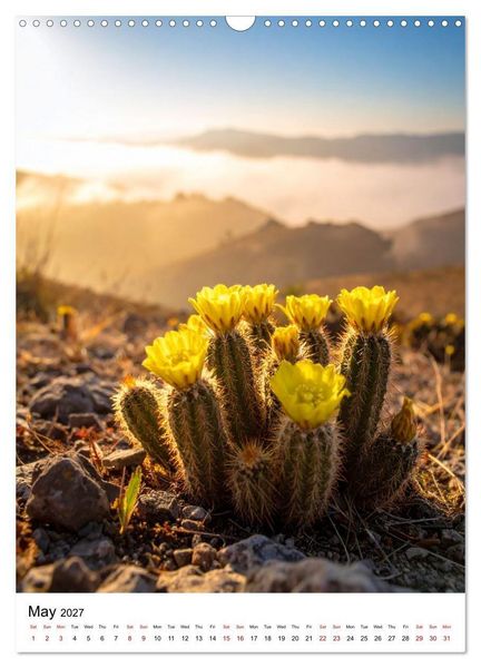 Produktbild: Beautiful Spiky Balls (Wall Calendar 2027 DIN A3 portrait), CALVENDO 12 Month Wall Calendar