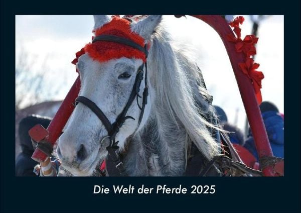 Produktbild: Die Welt der Pferde 2025 Fotokalender DIN A4