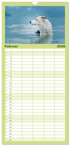 Produktbild: Familienplaner 2026 - Der Bordercollie-Kalender mit 5 Spalten (Wandkalender, 21 x 45 cm) CALVENDO