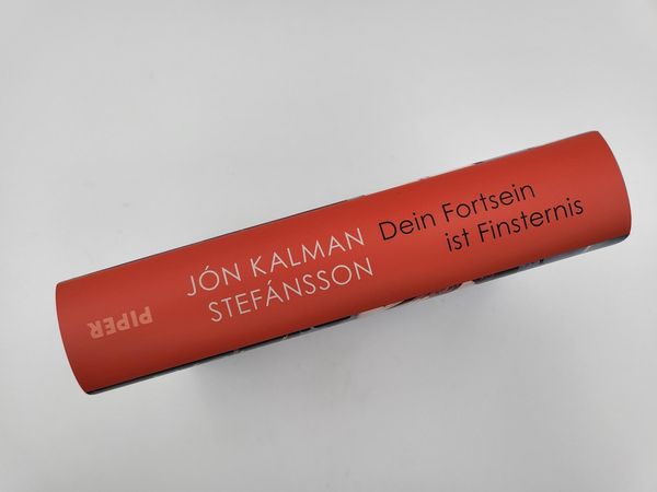 Produktbild: Dein Fortsein ist Finsternis