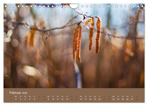 Produktbild: Farbwechsel - Die Farben der vier Jahreszeiten (Wandkalender 2026 DIN A4 quer), CALVENDO Monatskalender