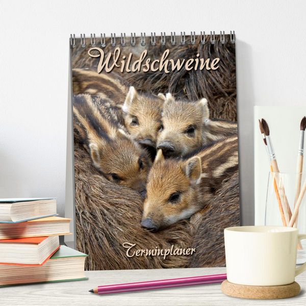 Produktbild: Wildschweine (Tischkalender 2026 DIN A5 hoch), CALVENDO Monatskalender