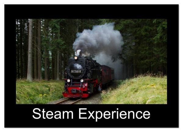 Steam Experience (Wall Calendar 2026 DIN A4 landscape), CALVENDO 12 Month Wall Calendar