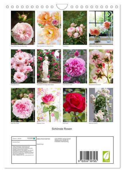 Produktbild: Sch&ouml;nste Rosen (Wandkalender 2026 DIN A4 hoch), CALVENDO Monatskalender