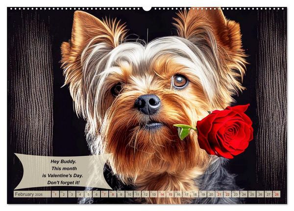 Produktbild: Great fun for Yorkshire Terrier lovers (High Quality Premium Wall Calendar 2026 DIN A2 landscape),CALVENDO 12 Month Wall Calendar