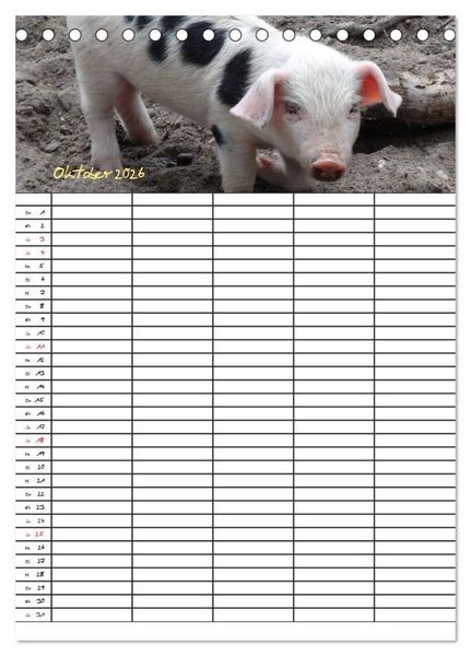 Produktbild: Bauernhoftiere Familienplaner (Tischkalender 2026 DIN A5 hoch), CALVENDO Monatskalender