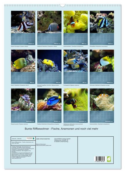 Produktbild: Bunte Riffbewohner - Fische, Anemonen und noch viel mehr (Wandkalender 2026 DIN A2 hoch), CALVENDO Monatskalender