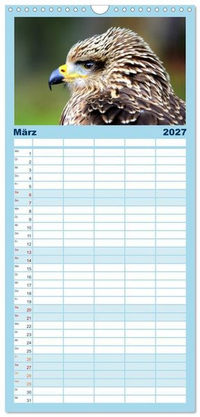 Produktbild: Familienplaner 2027 - Greifv&ouml;gel, Eulen und K&auml;uze mit 5 Spalten (Wandkalender, 21 x 45 cm) CALVENDO