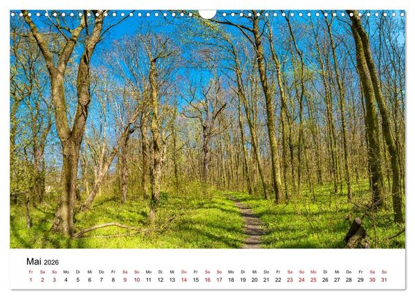 Produktbild: W&auml;lder: die letzte Zuflucht f&uuml;r die Wildnis (Wandkalender 2026 DIN A3 quer), CALVENDO Monatskalender