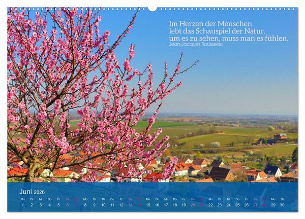 Produktbild: FASZINATION MANDELBL&Uuml;TE (hochwertiger Premium Wandkalender 2026 DIN A2 quer), Kunstdruck in Hochglanz