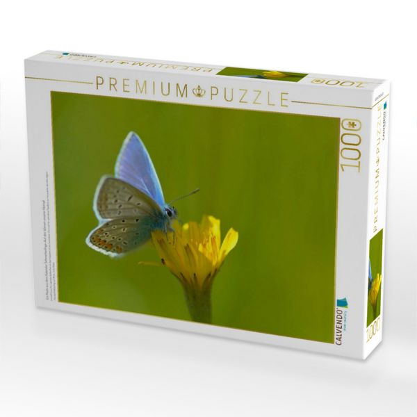 Produktbild: CALVENDO Puzzle Ein Motiv aus dem Kalender Schmetterlinge-Auf den Wiesen unserer Heimat | 1000 Teile Lege-Gr&ouml;&szlig;e 64x48cm Foto-Puzzle f&uuml;r gl&uuml;ckliche Stunden