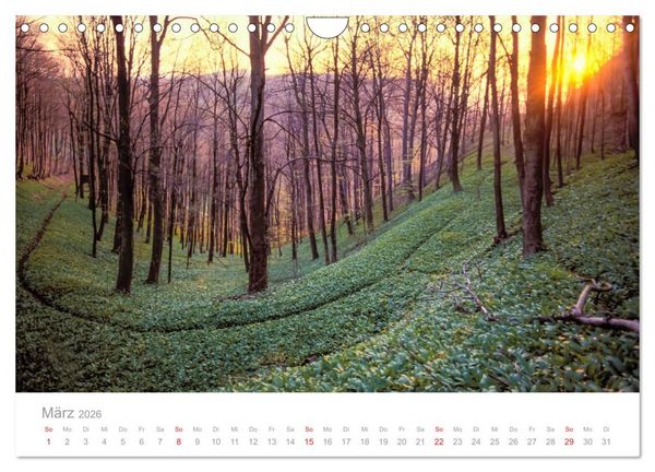 Produktbild: SCHW&Auml;BISCHE ALB W.Dieterich (Wandkalender 2026 DIN A4 quer), CALVENDO Monatskalender