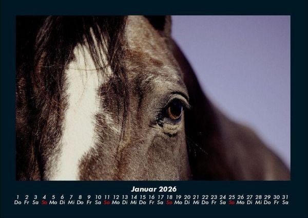 Produktbild: Die Welt der Pferde 2026 Fotokalender DIN A4