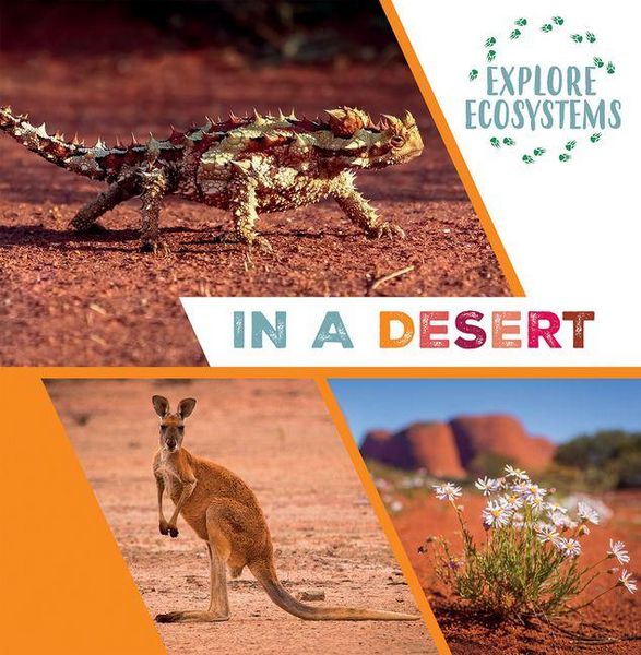 Produktbild: In a Desert
