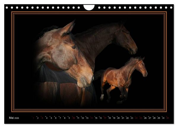 Produktbild: Traumpferde-ART-Collection (Wandkalender 2026 DIN A4 quer), CALVENDO Monatskalender