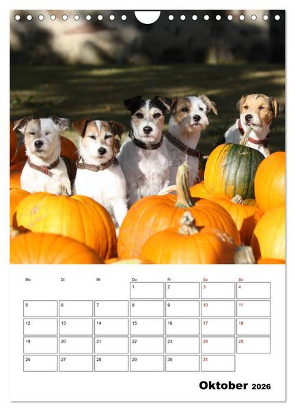 Produktbild: Tender Fellows - Parson Russell Terrier (Wandkalender 2026 DIN A4 hoch), CALVENDO Monatskalender