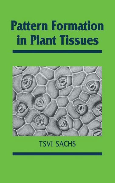 Produktbild: Pattern Formation in Plant Tis