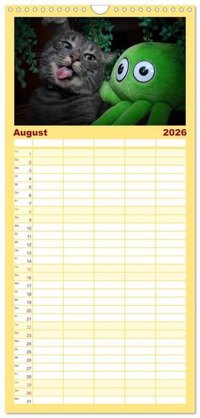 Produktbild: Familienplaner 2026 - Die Launen der Katzen 2026 mit 5 Spalten (Wandkalender, 21 x 45 cm) CALVENDO