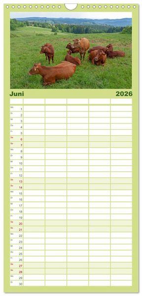 Produktbild: Familienplaner 2026 - Der Harz und sein Vorland mit 5 Spalten (Wandkalender, 21 x 45 cm) CALVENDO