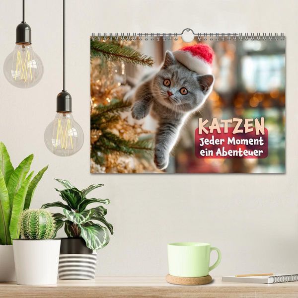 Produktbild: Katzen - Jeder Moment ein Abenteuer (Wandkalender 2027 DIN A4 quer), CALVENDO Monatskalender