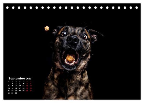 Produktbild: Leckerchen! (Tischkalender 2026 DIN A5 quer), CALVENDO Monatskalender