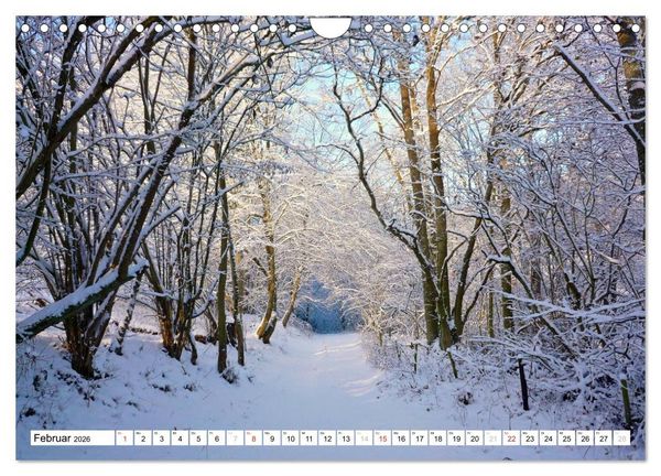 Produktbild: Traumhafte Wege durch die Eifel (Wandkalender 2026 DIN A4 quer), CALVENDO Monatskalender