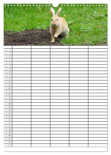 Produktbild: Meerschweinchen und Kaninchen Familienplaner (Wandkalender 2026 DIN A3 hoch), CALVENDO Monatskalender