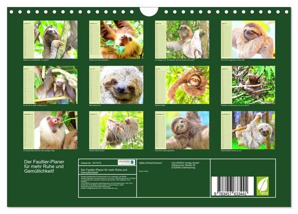 Produktbild: Der Faultier-Planer f&uuml;r mehr Ruhe und Gem&uuml;tlichkeit! (Wandkalender 2026 DIN A4 quer), CALVENDO Monatskalender