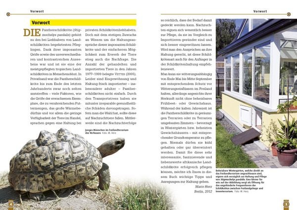 Produktbild: Die Pantherschildkr&ouml;te