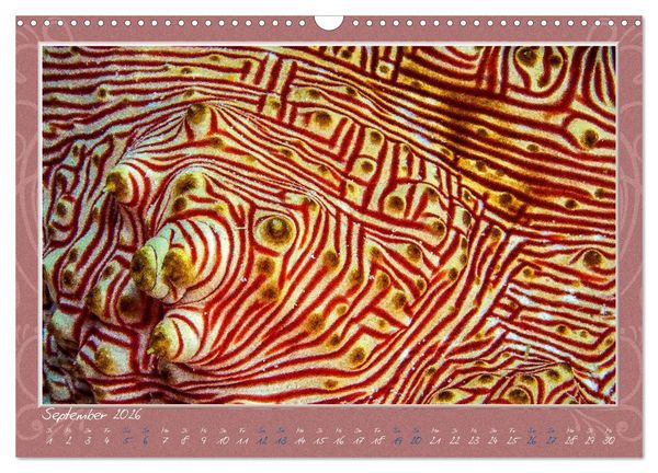 Produktbild: Unterwasser Kunstwerke (Wandkalender 2026 DIN A3 quer), CALVENDO Monatskalender