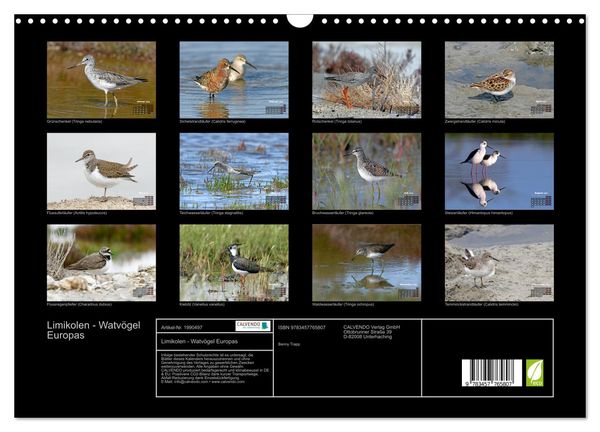 Produktbild: Limikolen - Watv&ouml;gel Europas (Wandkalender 2026 DIN A3 quer), CALVENDO Monatskalender