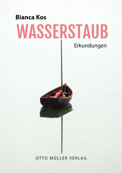 Produktbild: Wasserstaub