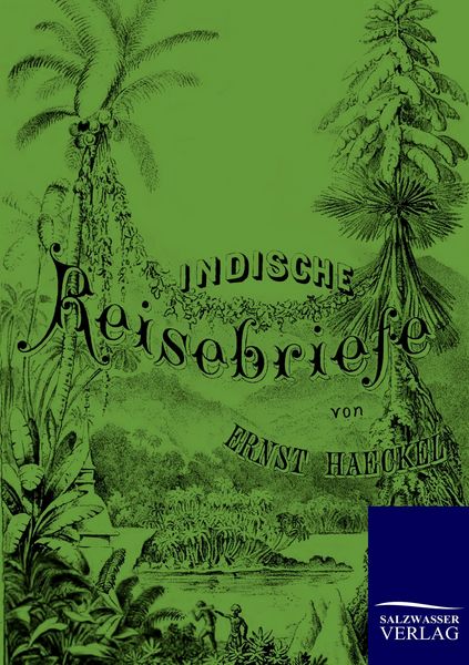 Produktbild: Indische Reisebriefe