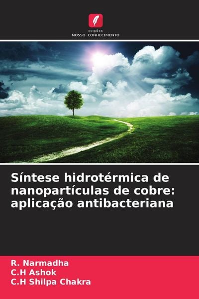 Produktbild: S&iacute;ntese hidrot&eacute;rmica de nanopart&iacute;culas de cobre: aplica&ccedil;&atilde;o antibacteriana