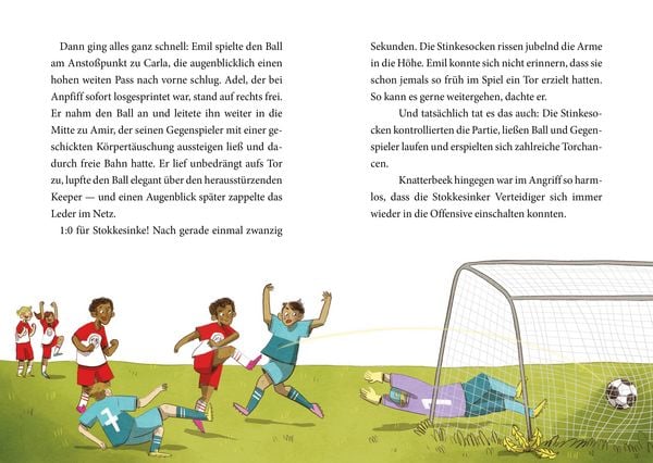 Produktbild: FC Stinkesocke 3