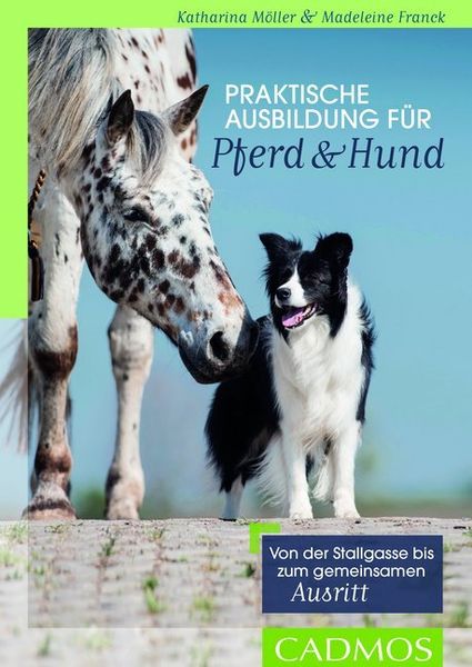 Praktische Ausbildung für Pferd & Hund