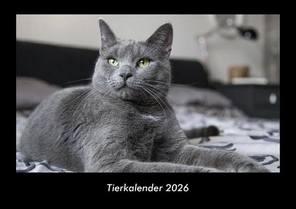 Produktbild: Tierkalender 2026 Fotokalender DIN A3