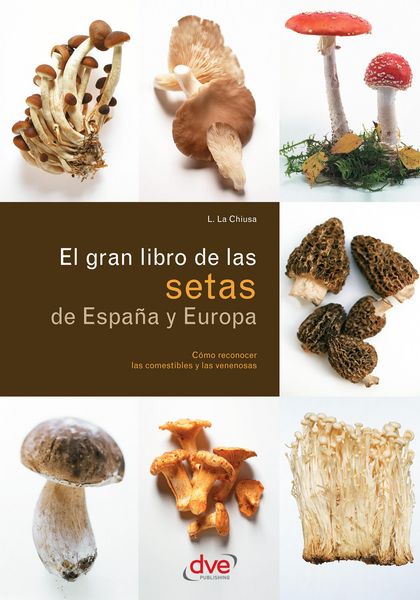 Produktbild: El gran libro de las setas de Espa&ntilde;a y Europa